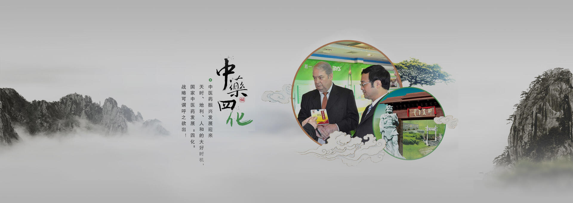 平安建站-若一医药科技