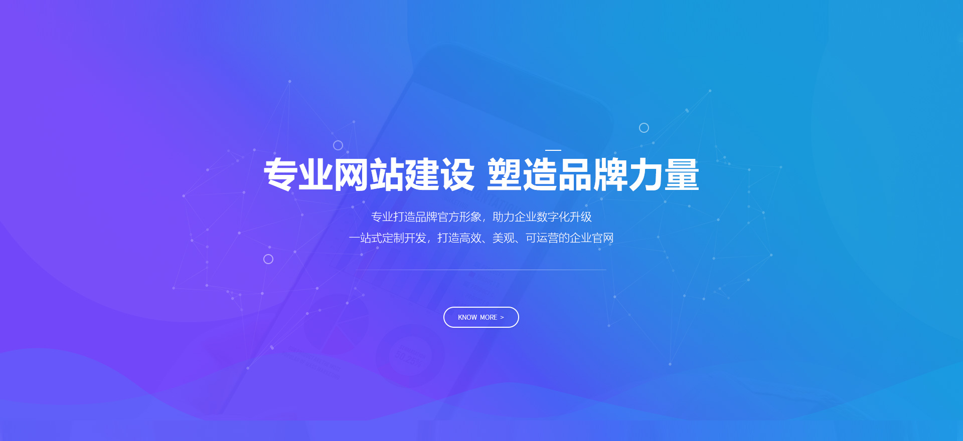 海东建站-专业网站建设 塑造品牌力量