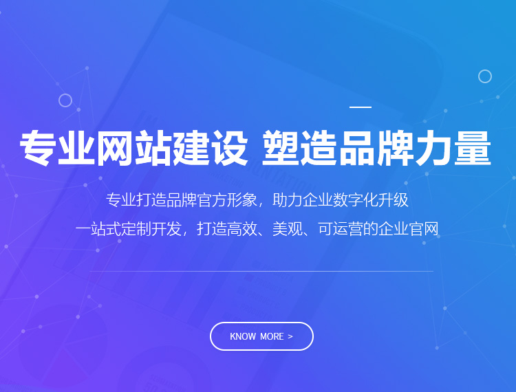 海东建站-专业网站建设 塑造品牌力量